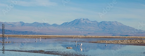 Quadro em tela Salar de Atacama