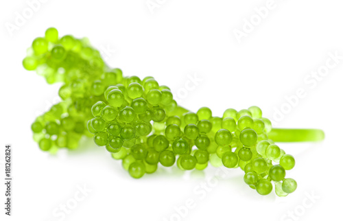 Sea grapes ( green caviar ) seaweed on white background