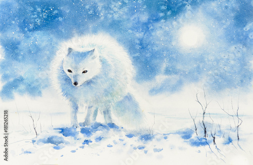 Polar fox in col winter day.Picture created with watercolors. © dannywilde
