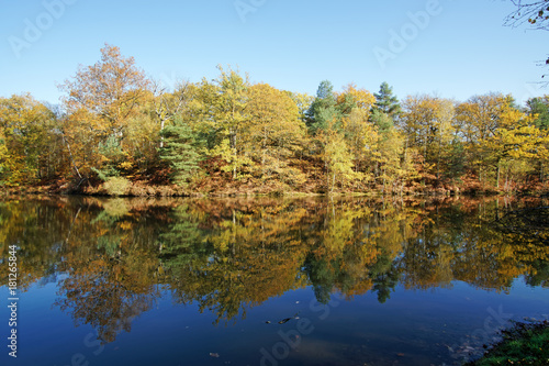   tang rompu pond in Rambouillet forest