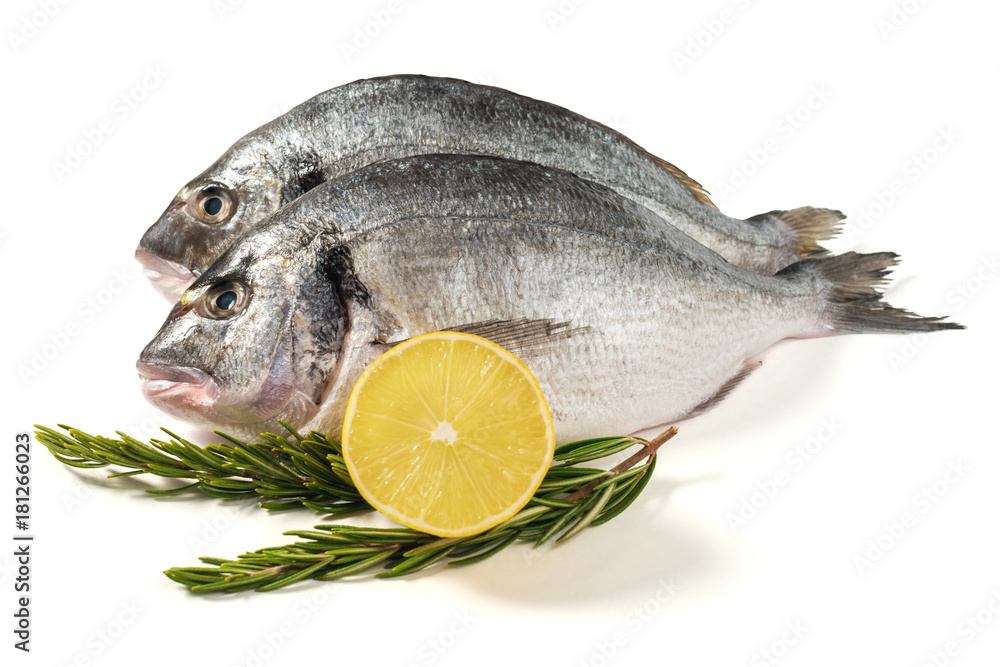 Raw fresh dorado fish with lemon and rosemary. Healthy food. Isolated on white background. Raw fresh dorado fish with lemon and rosemary. Healthy food. Isolated on white background.