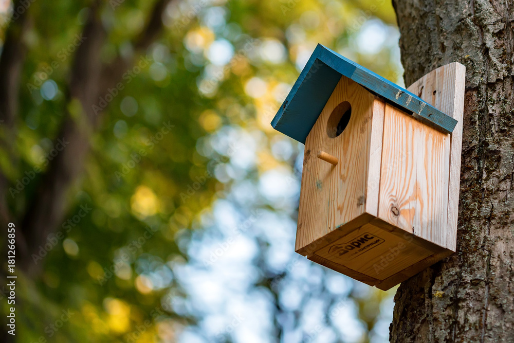 Red funny birdhouse Red funny birdhouse