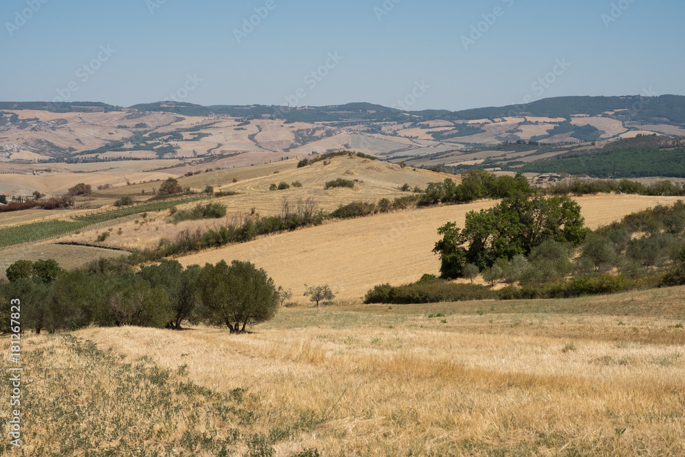 Plowed field ready to be cultivated in Val d'Orcia, Tuscany Plowed field ready to be cultivated in Val d'Orcia, Tuscany
