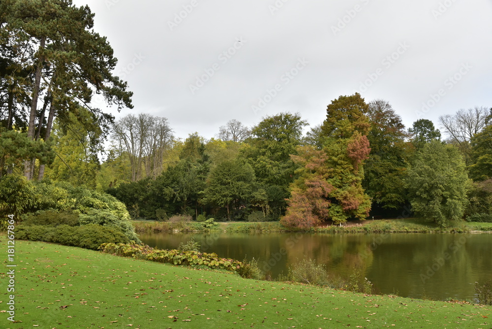 La nature majestueuse sous l'ombre des nuages au bout de l'étang de l'Orangerie ,au Jardin Botanique National de Belgique à Meise