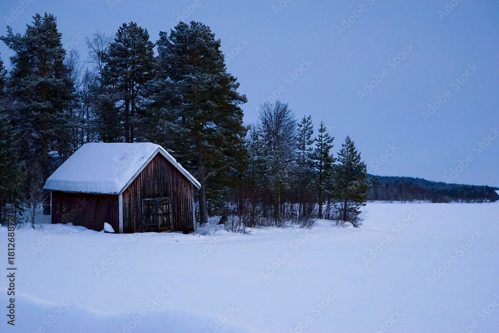 Winter cabin