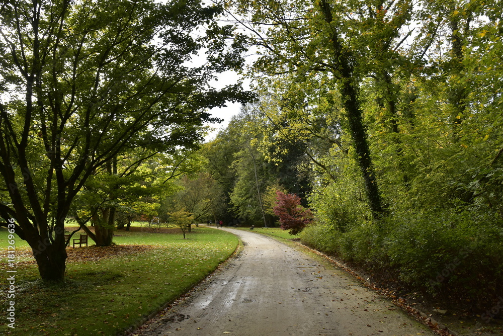 Chemin le long des arbres de collection au Jardin Botanique National de Belgique à Meise