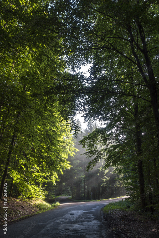 Fototapeta premium gleißendes Licht
