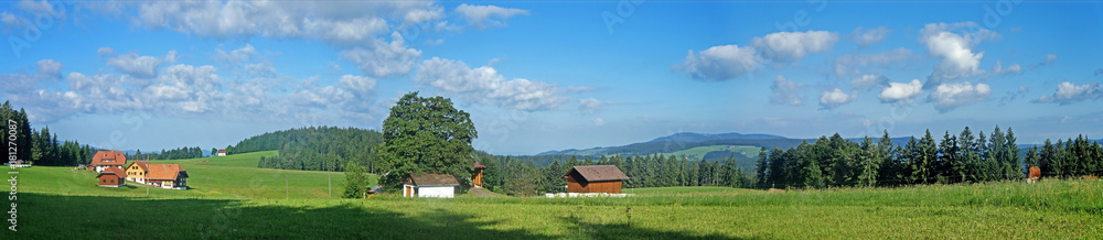 Verstreute Häuser im Schwarzwald/Landschaft im Schwarzwald; Panoramablick über Wiesen und Wälder, Berge, Täler und einzelne Häuser, wandern auf dem Fernwanderweg Westweg, blauer Himmel