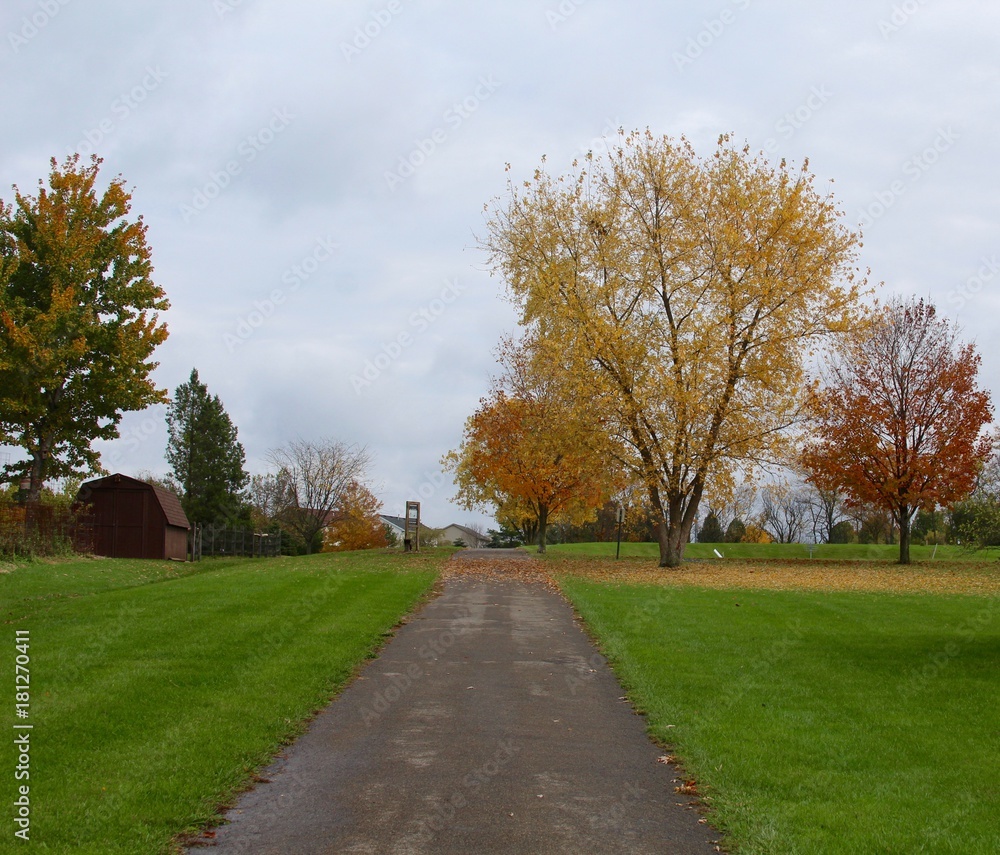 The autumn walk in the park on a gloomy November autumn day. 