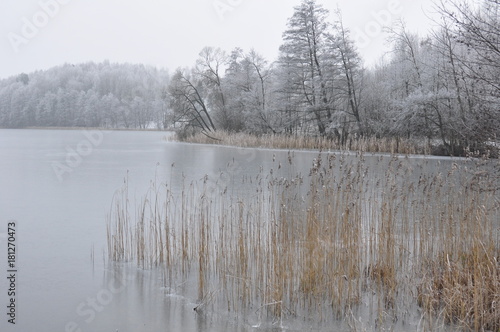 Wallpaper Mural Krajobraz zimowy Torontodigital.ca