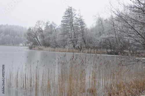 Wallpaper Mural Zima Torontodigital.ca