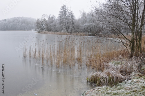 Wallpaper Mural Krajobraz mazurski - zima Torontodigital.ca