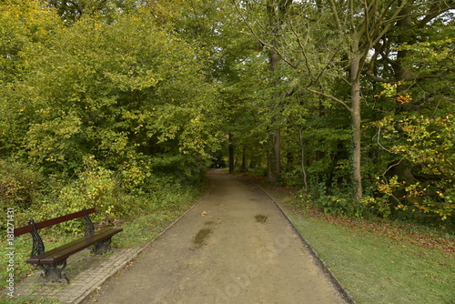 Banc le long d'un chemin sous un feuillage dense d'un des bois du Jardin Botanique National de Belgique à Meise