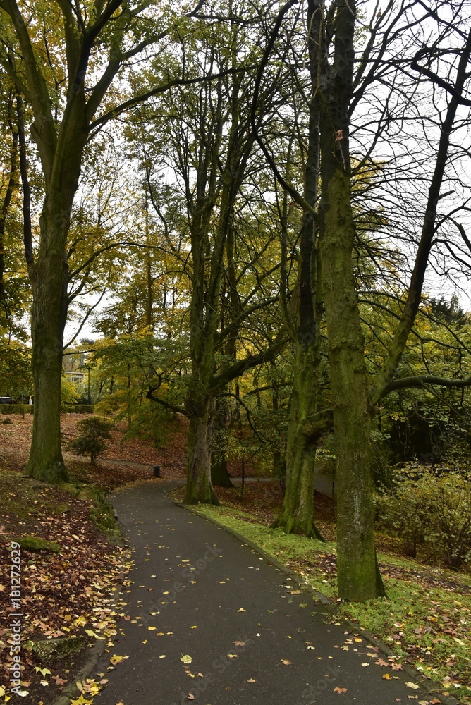 Chemin sous les arbres parfois majestueux en automne ,au parc Josaphat à Schaerbeek Chemin sous les arbres parfois majestueux en automne ,au parc Josaphat à Schaerbeek