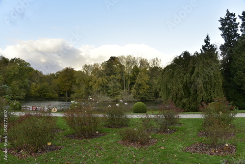 Plantes sur une pelouse à deux pas de l'étang principal du Jardin Botanique National de Belgique à Meise