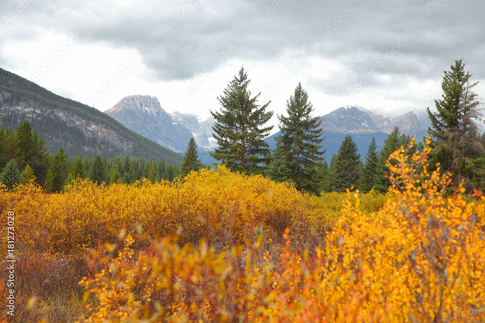 Fototapeta premium Autumn landscape in Canadian Rocky mountains