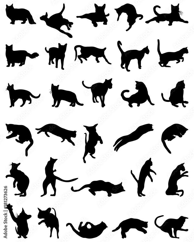 Black silhouettes  of cats on white background