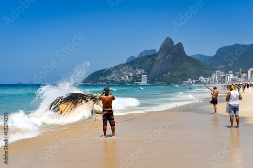 Washed Ashore Decomposing Whale in Ipanema Beach in Rio de Janeiro