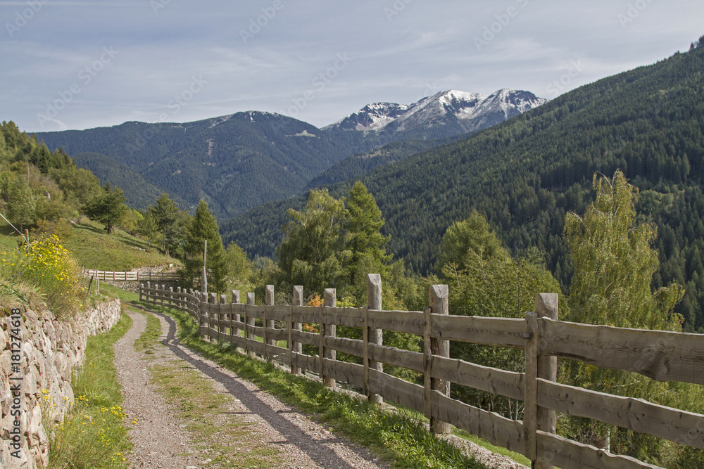 Pinehochebene im Trentino