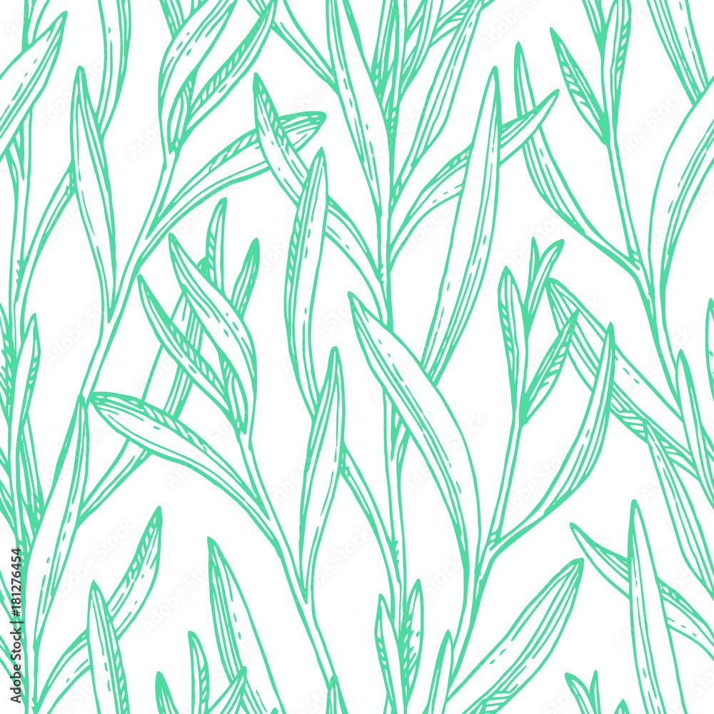 Seamless pattern with tarragon. Seamless pattern with tarragon.