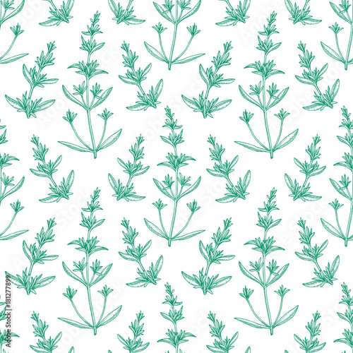 Wallpaper Mural Seamless pattern with savory. Torontodigital.ca