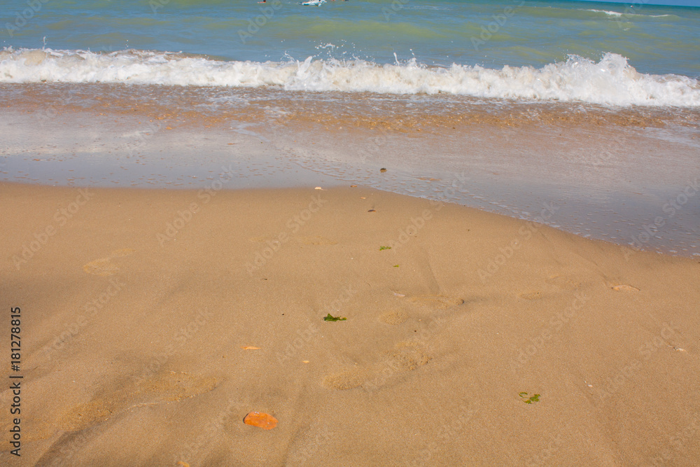 Adriatic Sea coast view. Seashore of Italy, summer sandy beach and seagull. Adriatic Sea coast view. Seashore of Italy, summer sandy beach and seagull.