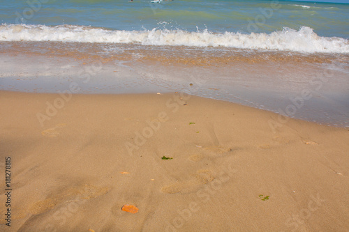 Adriatic Sea coast view. Seashore of Italy  summer sandy beach and seagull.