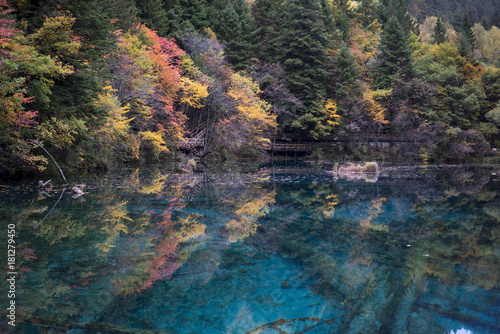 Fototapeta Naklejka Na Ścianę i Meble -  Fall Reflections over Five Flower Lake