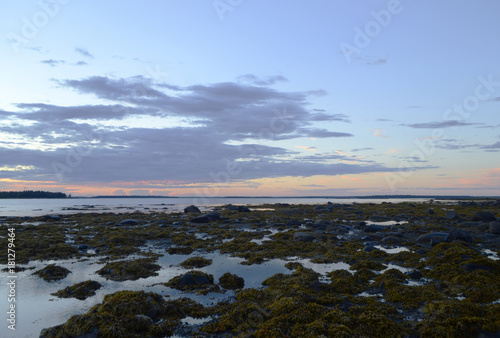 Sunset at low tide in the White Sea © maxapryg
