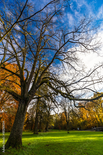 Park in the Val-Dieu  Valley of God  Abbey  a former Cistercian monastery in the Berwinne valley near Aubel in the Land of Herve  province of Liege  Belgium  in autumn