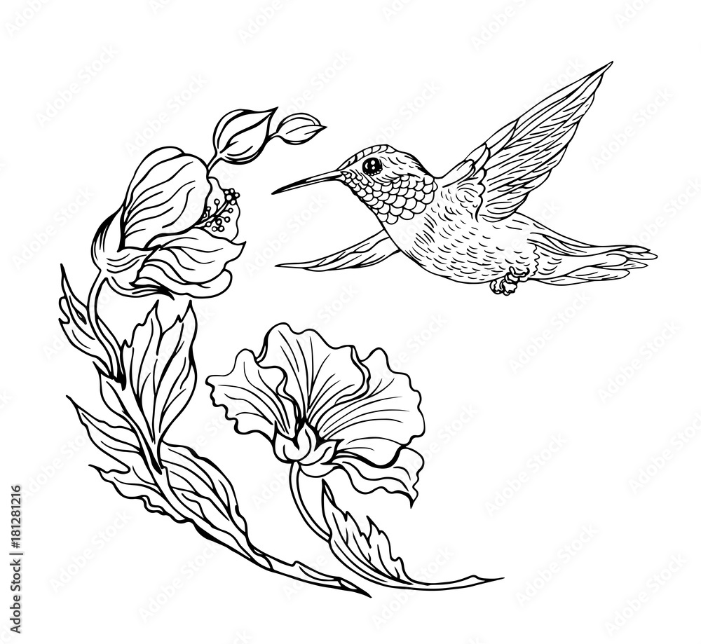 Hummingbirds and flowers, black and white contour drawing. vector de