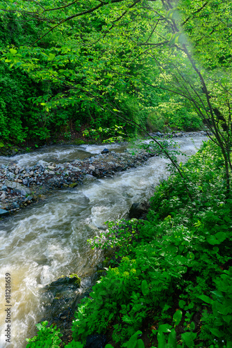 Amazing river landscape, Armenia