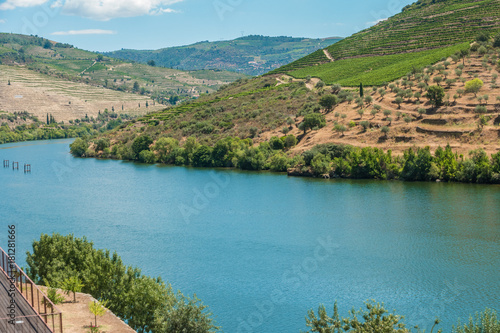 Terraced vineyards in Douro Valley Alto Douro Wine Region in northern Portugal officially designated by UNESCO as World Heritage Site