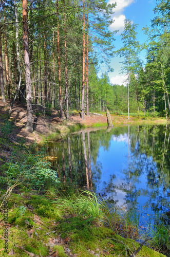 Wild forest lake in Sunny day surrounded by green grass, the reflection of sky and trees in the water.