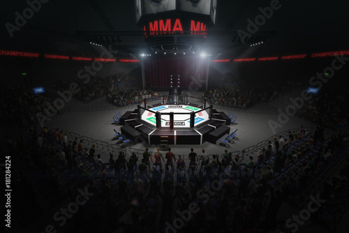 big mma fighting arena with lots of fans 3d rendering photo