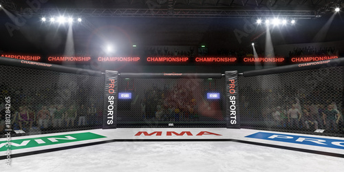Obraz na plátně mma fighting stage side view under lights 3d rendering