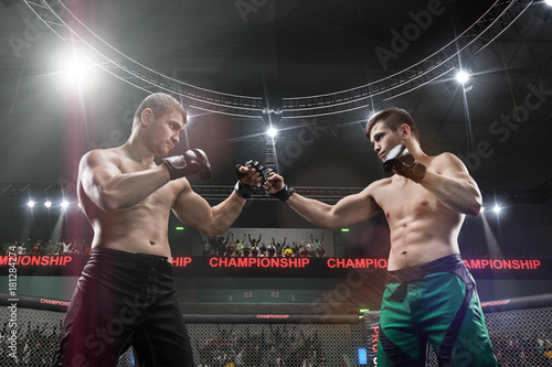 two mma fighters standing in fighting stance ready to fight in mma cage close-up photo