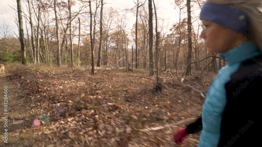 Mature woman wearing blue jacket, headband and red gloves, hiking in the forest with a carpet of autumn leaves and labrador retriever dog. Mature woman wearing blue jacket, headband and red gloves, hiking in the forest with a carpet of autumn leaves and labrador retriever dog.