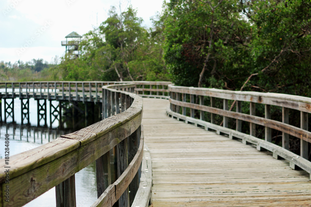 Florida Nature Trail / Boardwalk