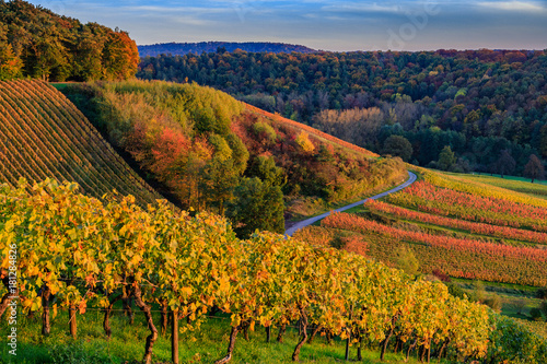 Farbenspiel im Herbst im Stromberg photo