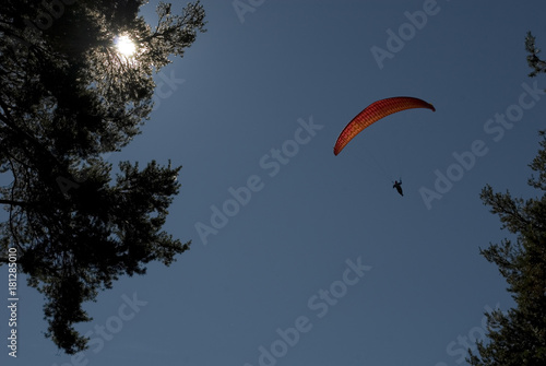 Background: red paragliding just taken off by a mountain, flies in the middle of a pine forest, during the sunset of an autumn day, backlight, Formazza Valley, Piedmont, Italy