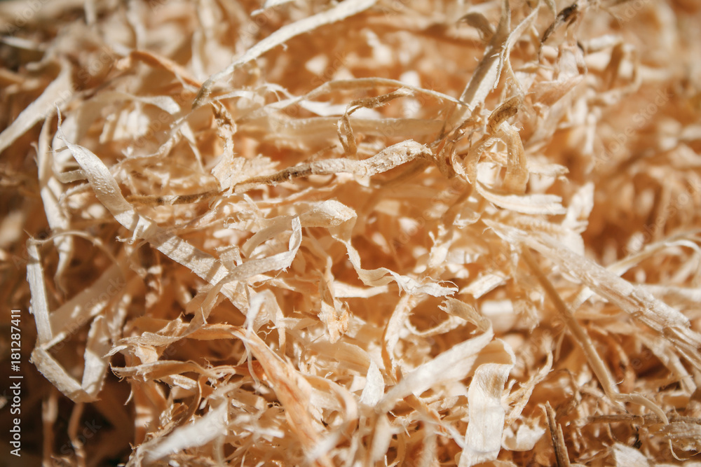 Wood chips background. Fine wooden shavings Wood chips background. Fine wooden shavings