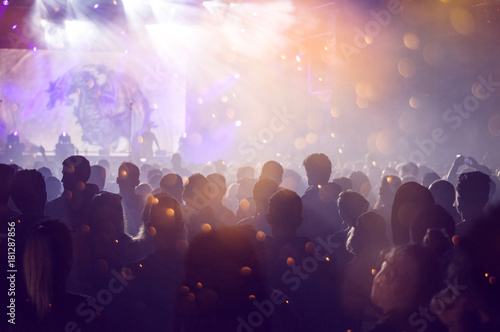 Cheering crowd at a concert © erika8213