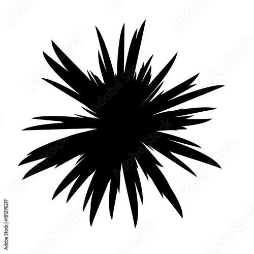 Black and White Flowers Silhouette