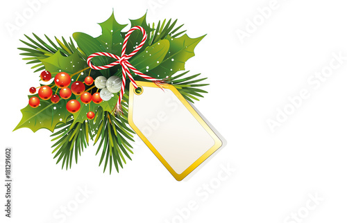 Weihnachtskarte mit Tannenzweige, Ilex und Misteln Beeren 
und Anhänger Karte zum selbst beschriften,
Geschenkanhänger und Schleife, 
Vektor Illustration isoliert auf weißem Hintergrund