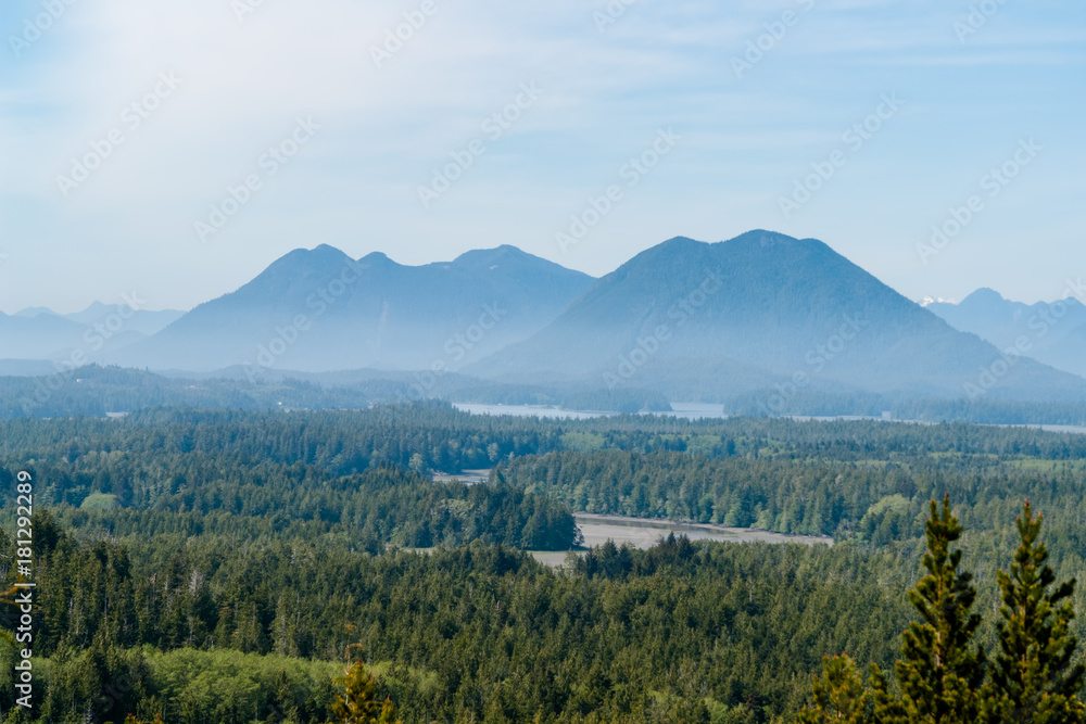 Misty Valley in Tofino - BC, Canada Misty Valley in Tofino - BC, Canada