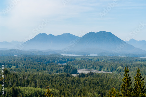 Photo Misty Valley in Tofino - BC, Canada