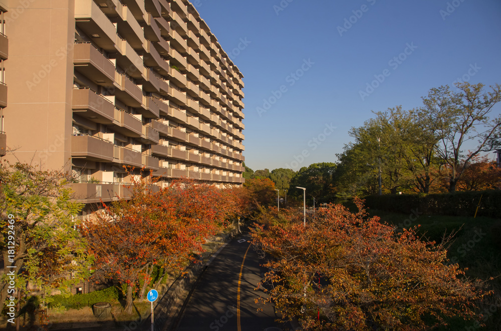 Fototapeta premium 大阪・千里の街並み