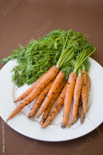 Bunch of fresh raw carrots with their leaves