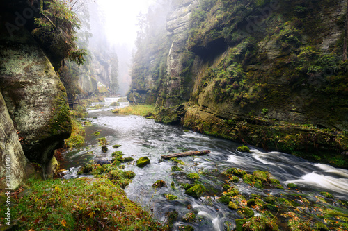 Quadro su tela Kamnitz Gorge in Saxon switzerland national park
